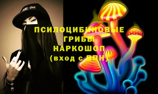 гашик Алзамай