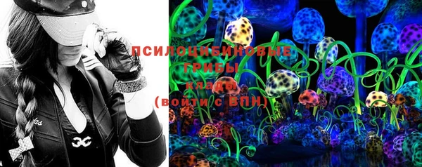 мдпв Няндома