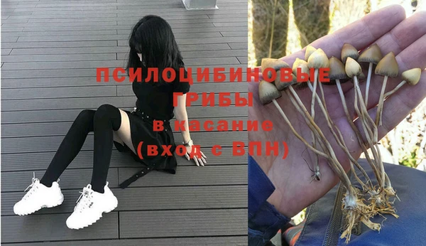 гашик Алзамай